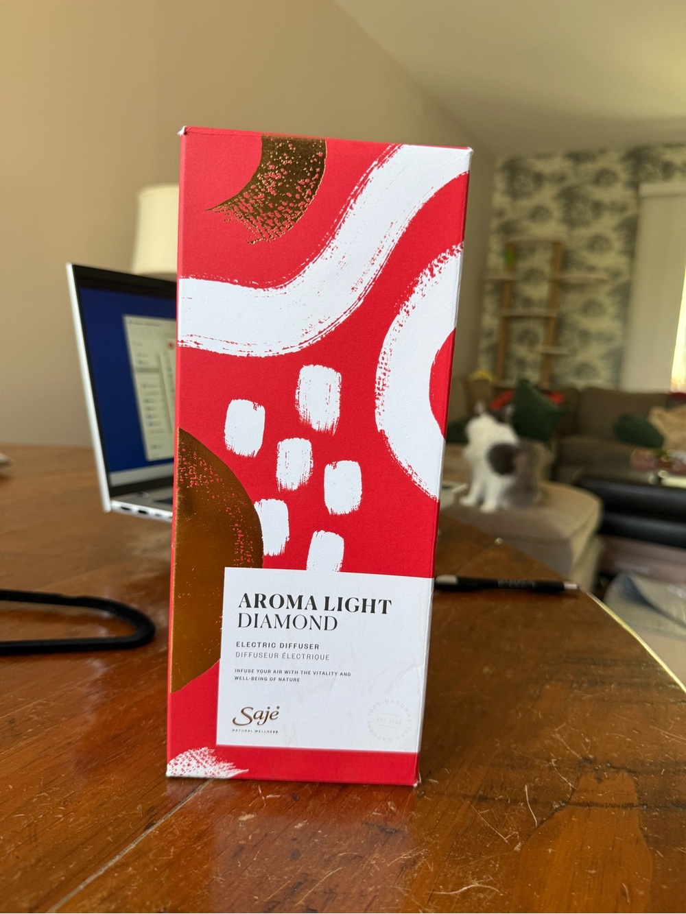Saje Red Decorative Aroma Light Electric Diffuser Box